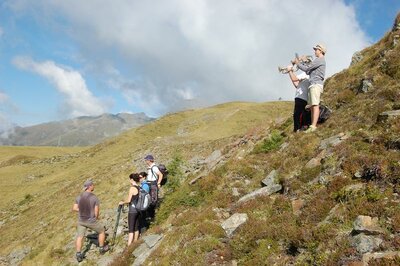 2014 - Neualplseen